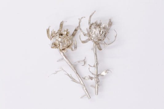 Thistles for J.