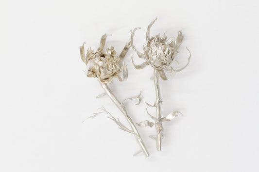 Thistles for J.