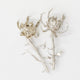Study in Silver: Thistles