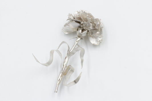 Study in Silver: Carnation