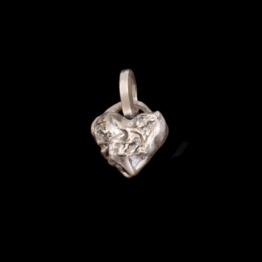 012025 Limited Edition: Tiny Swan Song Locket