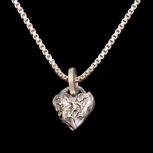 012025 Limited Edition: Tiny Swan Song Locket