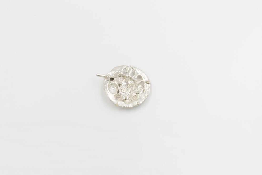 The Witching Brooch