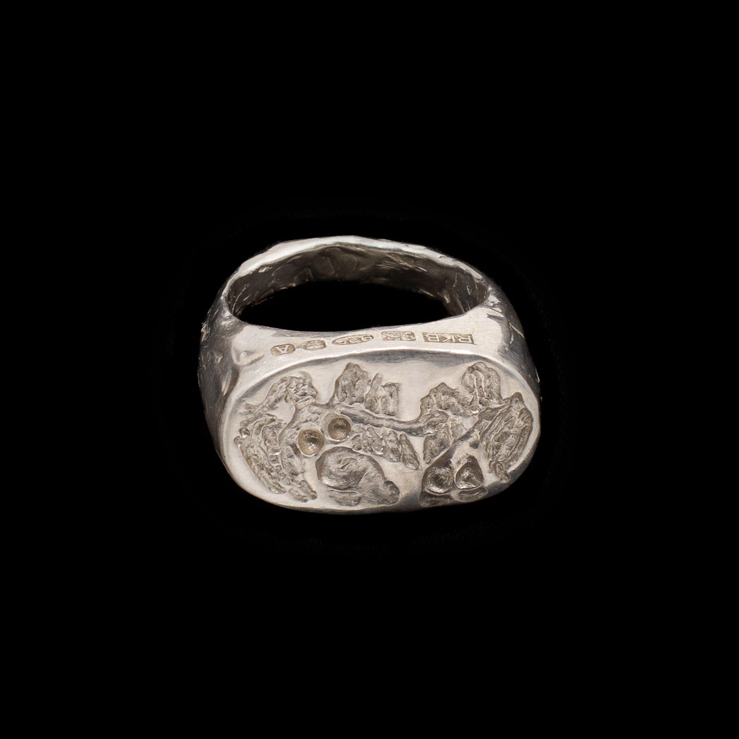 Cygnet Ring, The Syrens