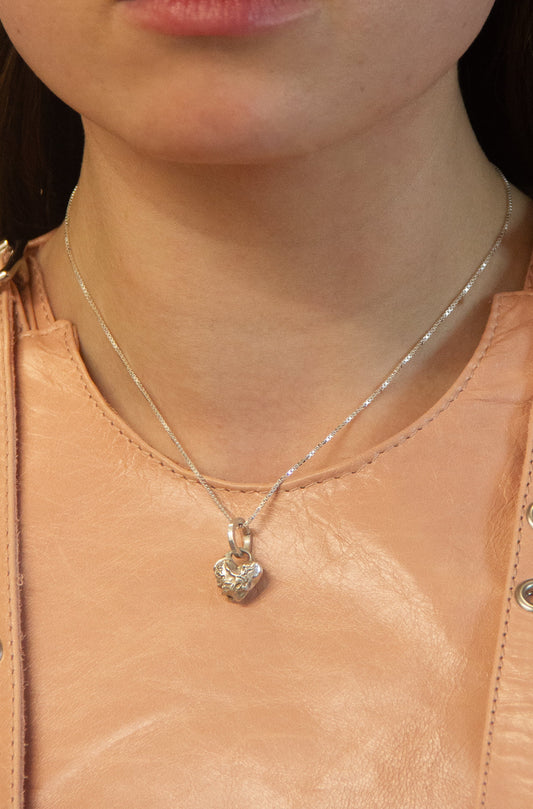 012025 Limited Edition: Tiny Swan Song Locket